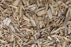 biomass boilers Skiprigg