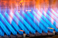 Skiprigg gas fired boilers